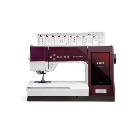 Pfaff expression 725 quilt