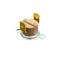 Termostato de Seguridad Bieffe